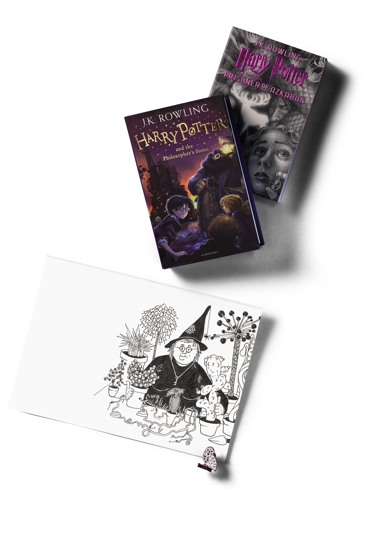 a book review for harry potter