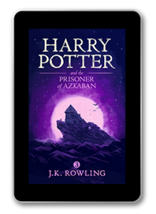 The Harry Potter Stories - JKR